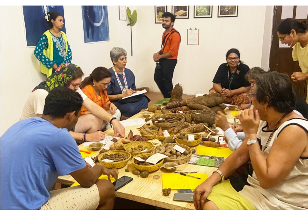 塊茎リサーチプロジェクト「Roots to Resilience」を発表