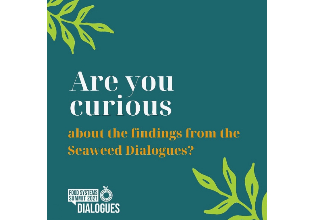 2021年の国連食料システムサミットで対話イベント“Seaweed Dialogues”を開催した時の投稿画像