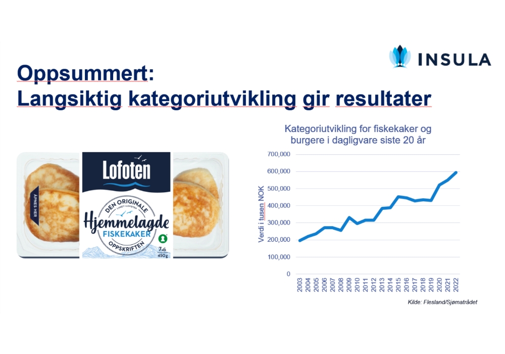 インシュラ社の資料