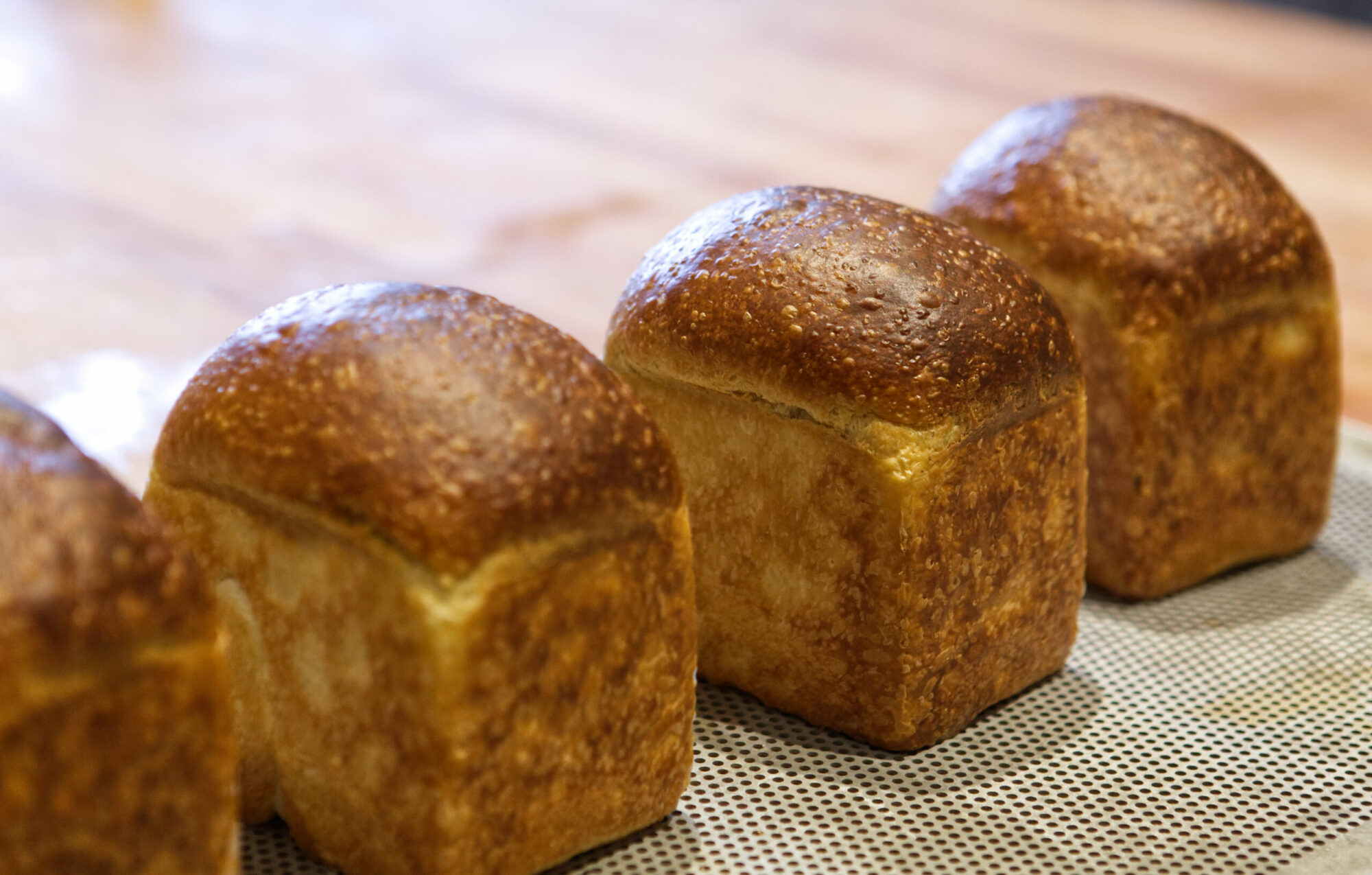 たっぷりのオリーブオイルとマッシュポテトで作る伸びやかな「ブリオッシュ」