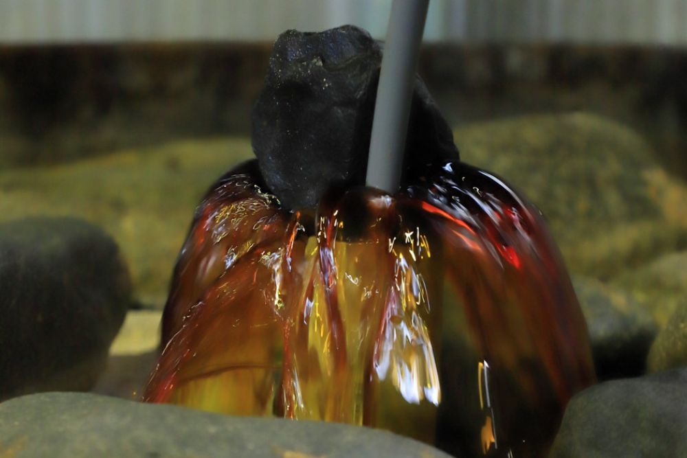 大豆の旨味を味わう醤油「たまり醤油」 三重・四日市「伊勢藏」