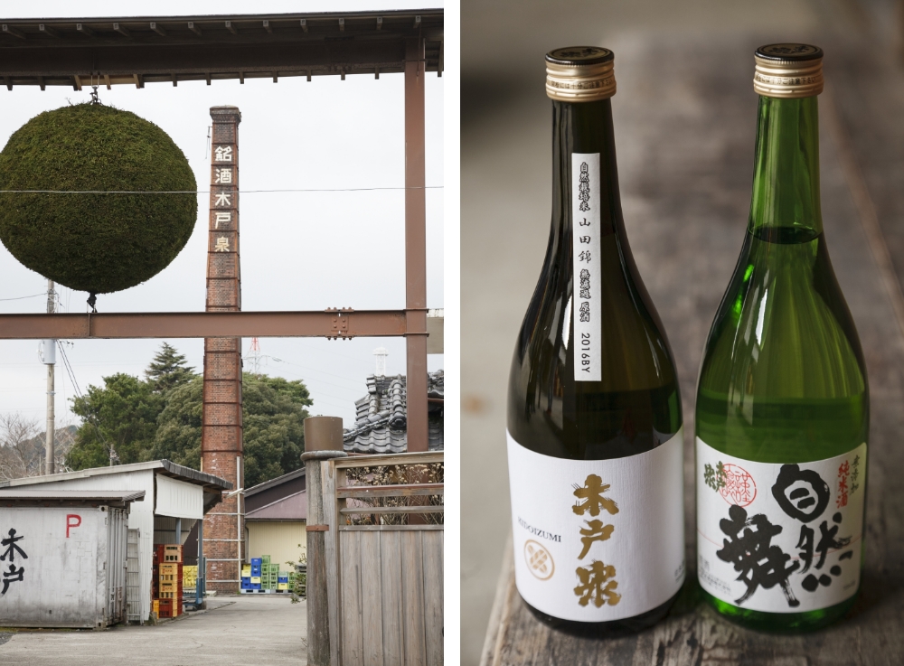 木戸泉酒造の門と自然舞