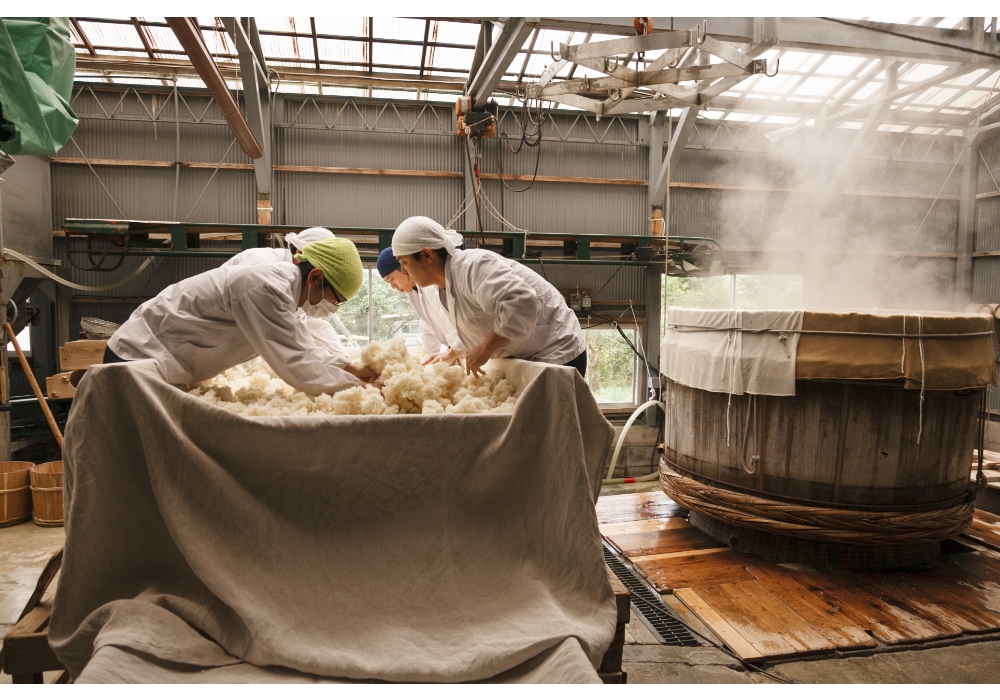 Since 1956, back in my grandfather’s day, we have focused solely on the hot yamahai method, which yields a sake with higher sweetness and acidity,” says chief brewer Shoji Hayato of Kidoizumi in Chiba prefecture.
