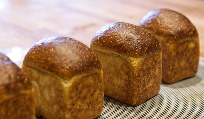 たっぷりのオリーブオイルとマッシュポテトで作る 伸びやかな「ブリオッシュ」