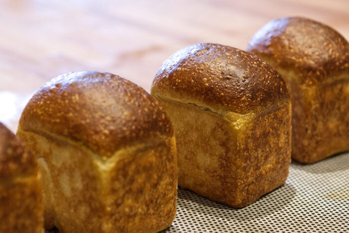 たっぷりのオリーブオイルとマッシュポテトで作る 伸びやかな「ブリオッシュ」