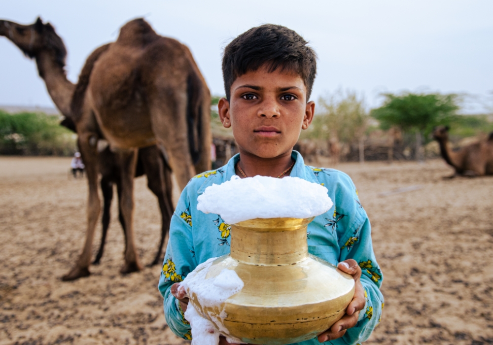2024年は国際ラクダ年。ラクダミルクが栄養価の高いスマートフードとして注目！