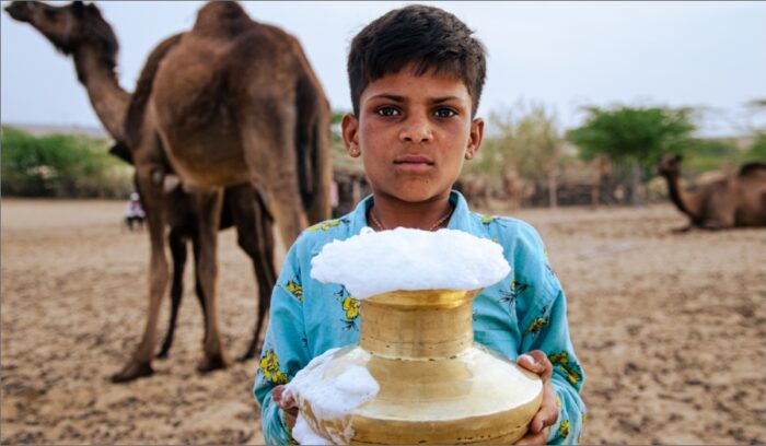 2024年は国際ラクダ年。ラクダミルクが栄養価の高いスマートフードとして注目！