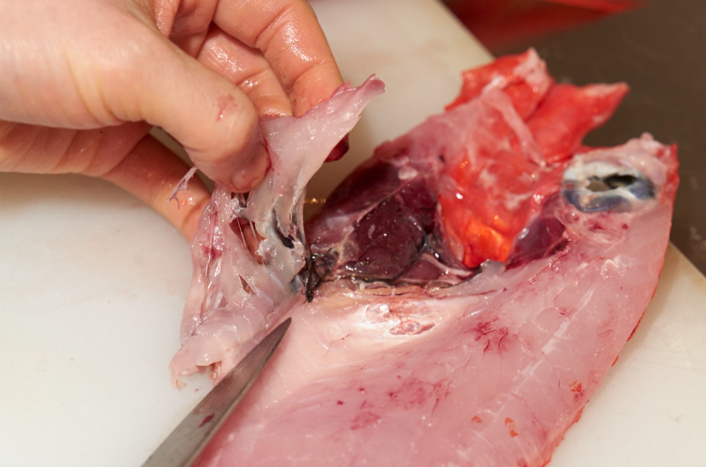 骨を除く