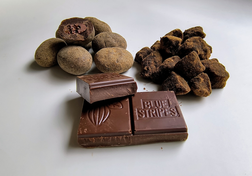 カカオ豆のチョコがけ、乾燥カカオフルーツ、タブレット