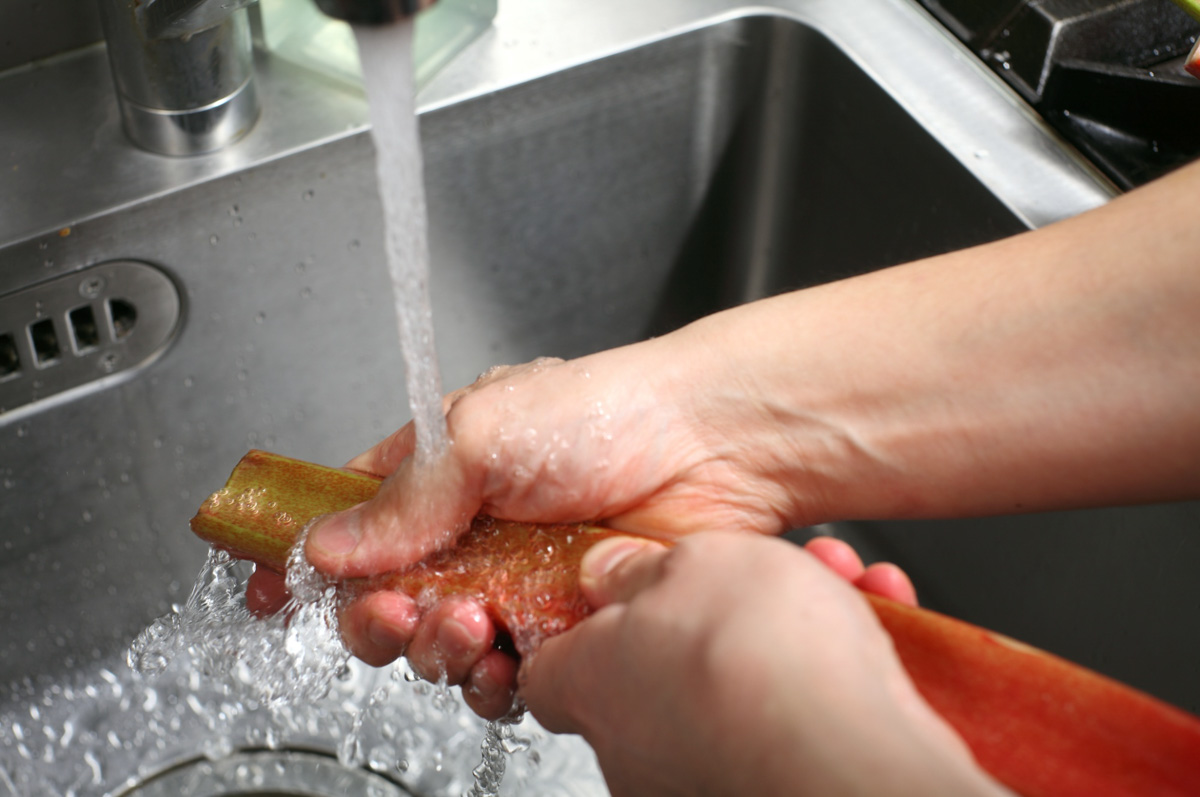 リュバーブは泥が付いていることが多いのでよく洗う。