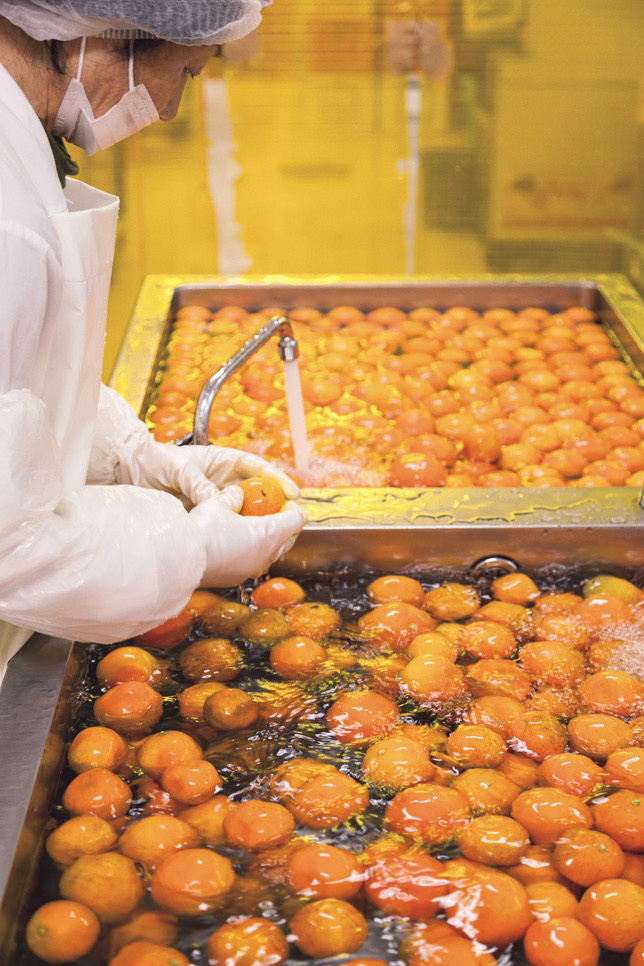 We also fine-tuned the recipe. In all, our Seminole citrus juice was under development for more than a year.