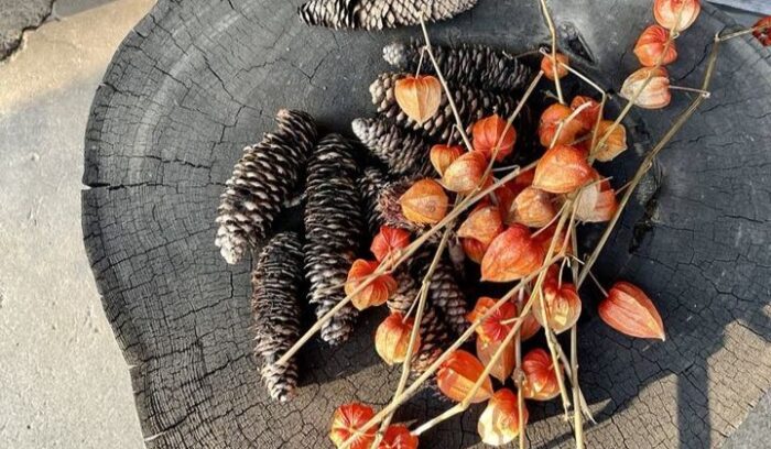 信州美食フィエスタ2024秋 前夜祭 <br />
「信州の職人たち」が開かれます。