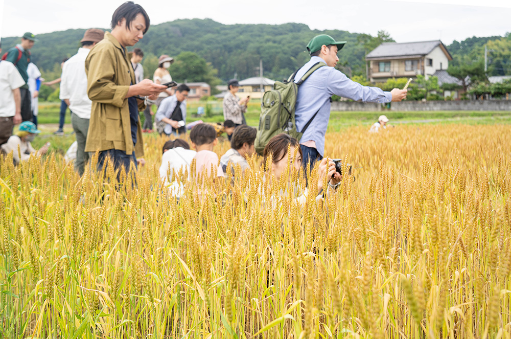 新麦コレクションでは、小麦畑の見学会を実施。埼玉県ときがわ町のTOFU、小川町の下里ゆうきの小麦畑をパン職人やパティシエたちが訪ねた。写真提供：新麦コレクション