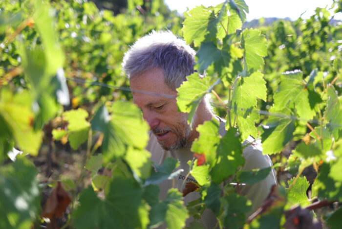 ワインに導かれ、絶望から気づけば陽の下にいた