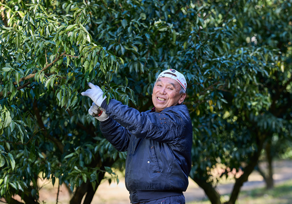 「山の暮らしでどこまで稼げるか」。高知・馬路村ブランド仕掛け人の、地域のおこし方。ゆず栽培と自伐林業農家・東谷望史