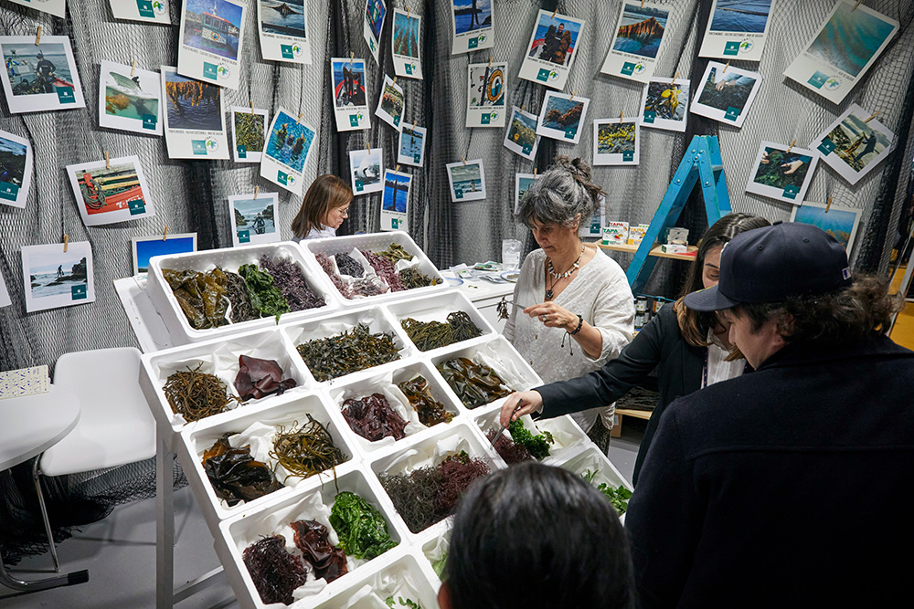 海藻がファインダイニングや健康志向の消費者に馴染みの存在となって久しい。海藻を展示するスタンドもＭＦでは定番の人気。