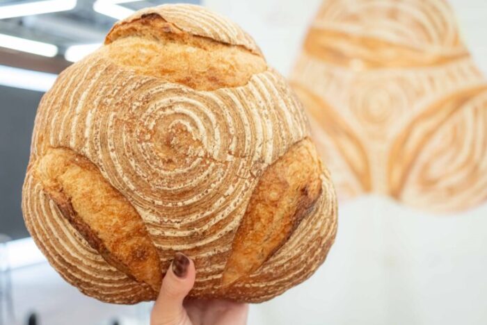 100年先も 愛されたい。<br />
「リアルブレッド」が、地域をまわす。 