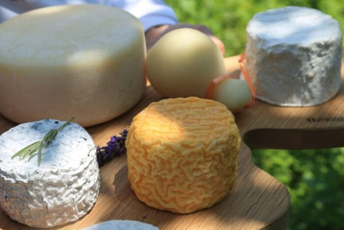 エンジニアの最適化技術で作るチーズ