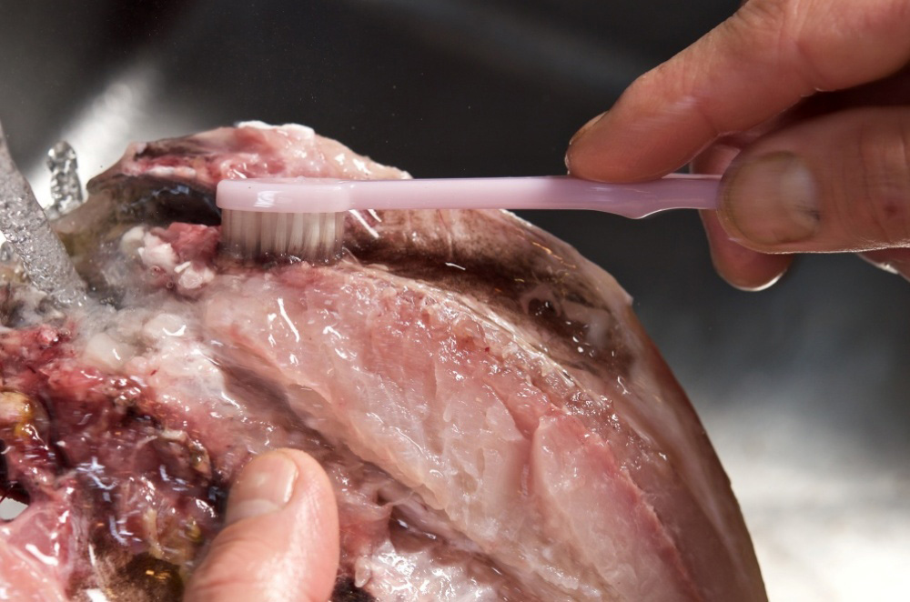 血合いは歯ブラシで取り除く