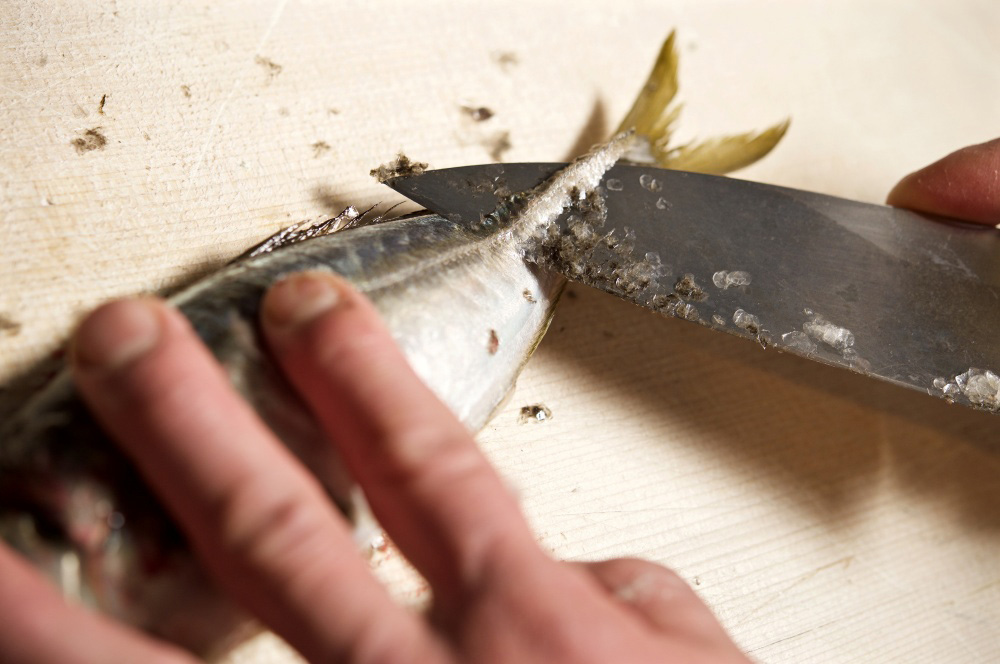 アジのゼイゴを削ぐ