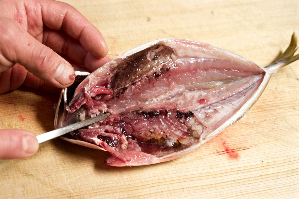 頭部をしっかりと開く