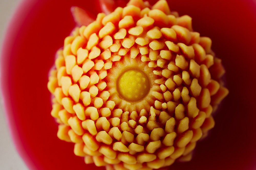 世界に共有したい日本発の食のリスト「EARTH FOODS 25」を多文化シェフはどう料理する？大阪・関西万博リポート