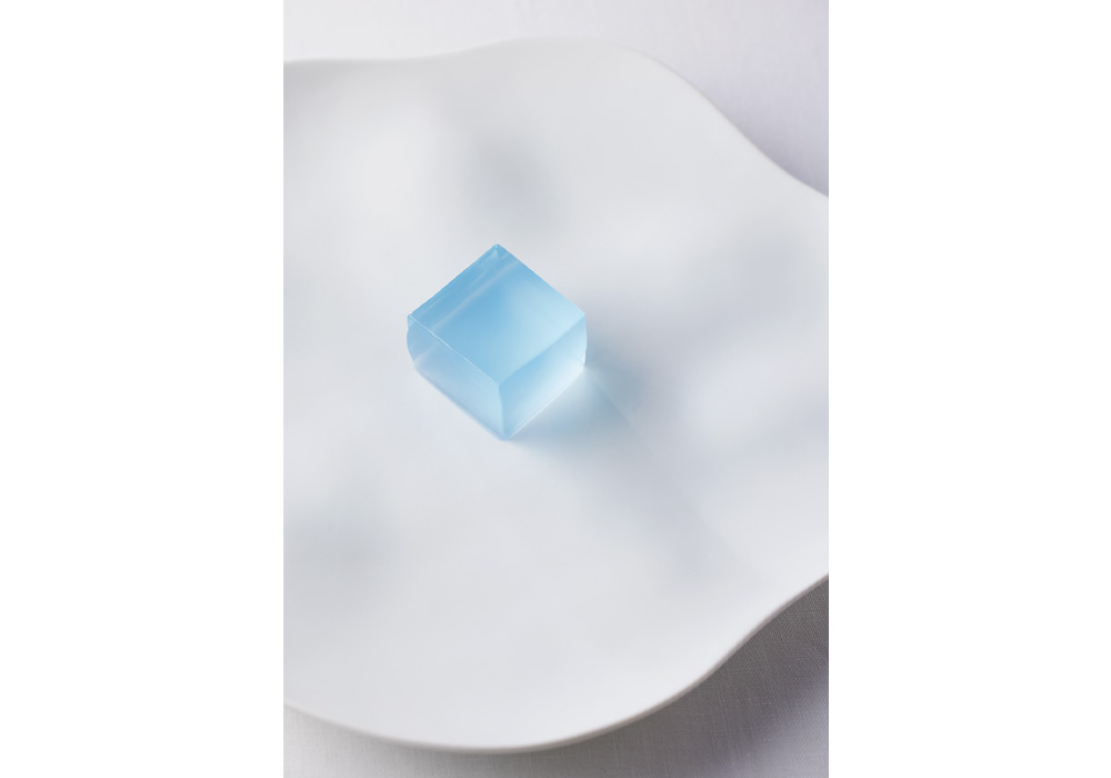 EARTH FOODS #18　寒天