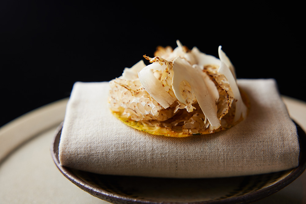 EARTH FOODS #22　麴