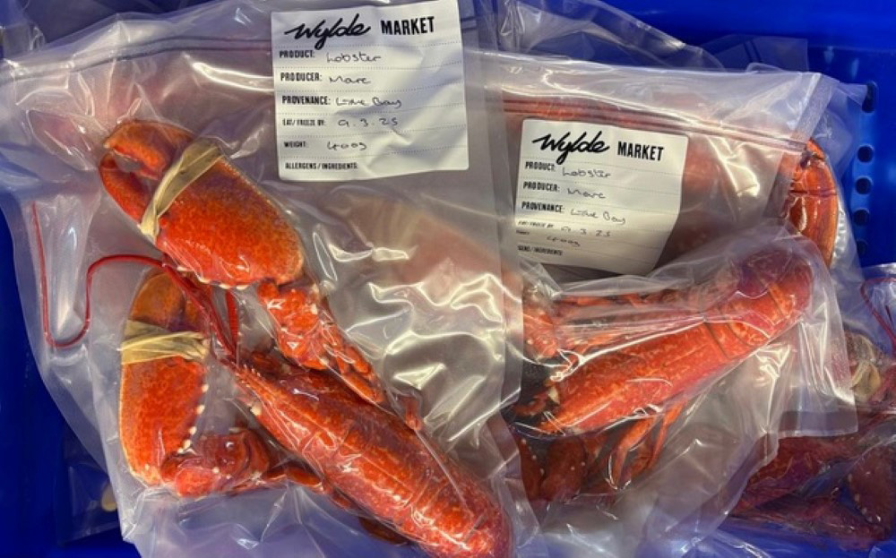 ライム湾で獲れたロブスター