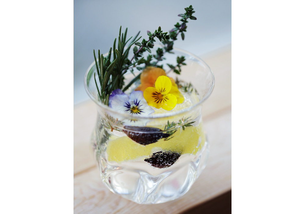 フレッシュボタニカル・ジントニック