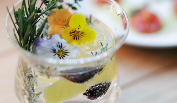 タイプ、気分、シーンでアレンジ「ジンを使ったカクテル３種」