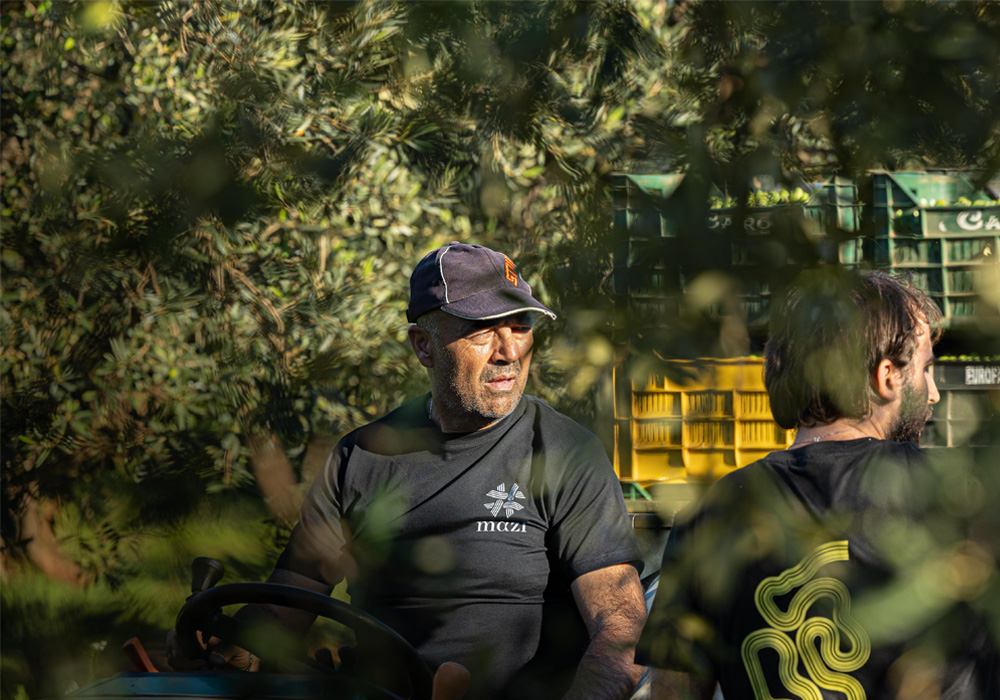 弟のジョヴァンニ（Giovanni）、父のドメニコ（Domenico）