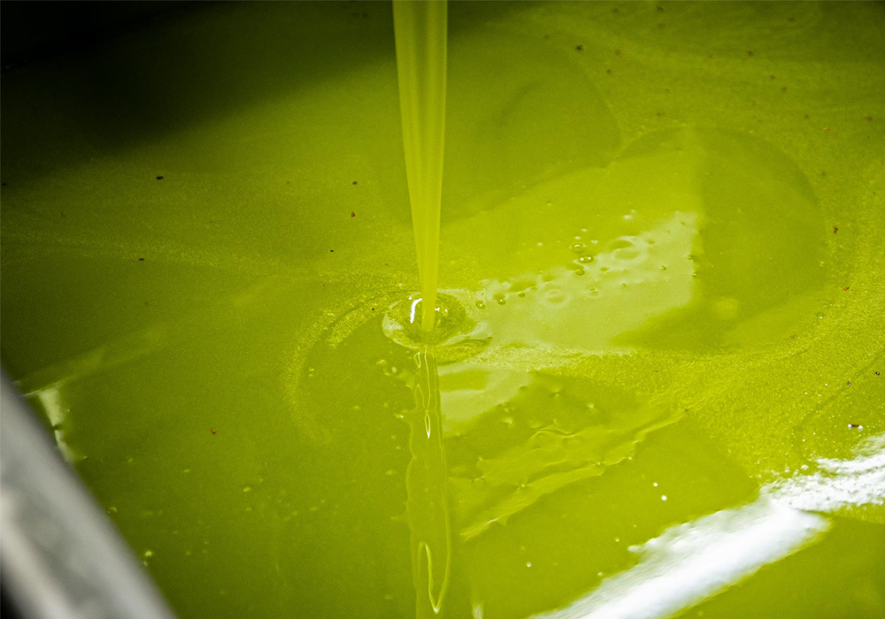 絞りたてのオリーブオイル