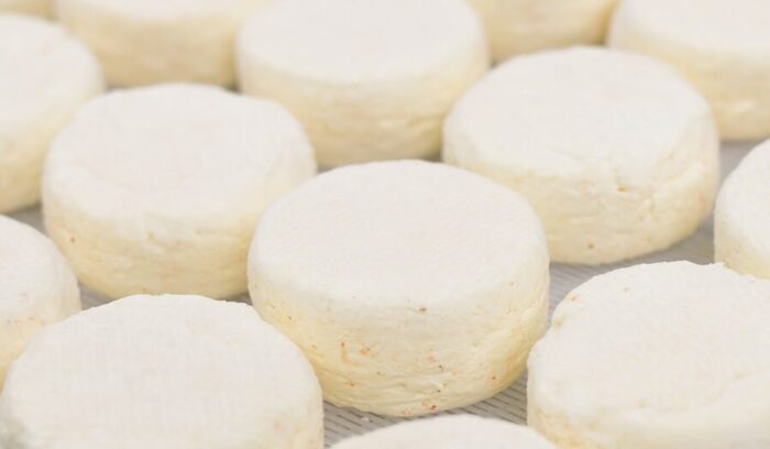 山地酪農で育てた野草牛の生乳の味<br />
岩手「田野畑山地酪農牛乳 milk port NAO」