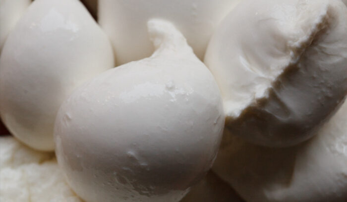 温度管理と材料選びで理想の食感に「モッツァレッラ」