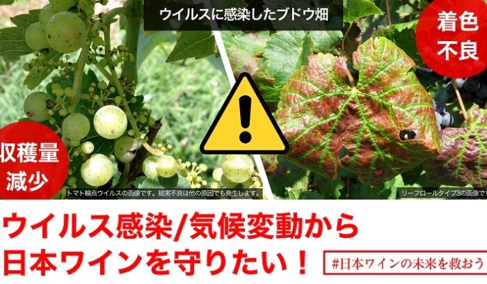 日本ワインブドウ栽培協会（JVA）が「原木園」設立のためのクラウドファンディングを実施中！