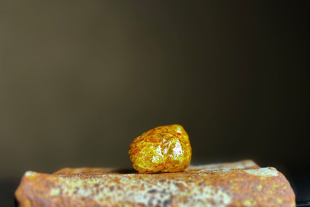 豚の皮を揚げたもの