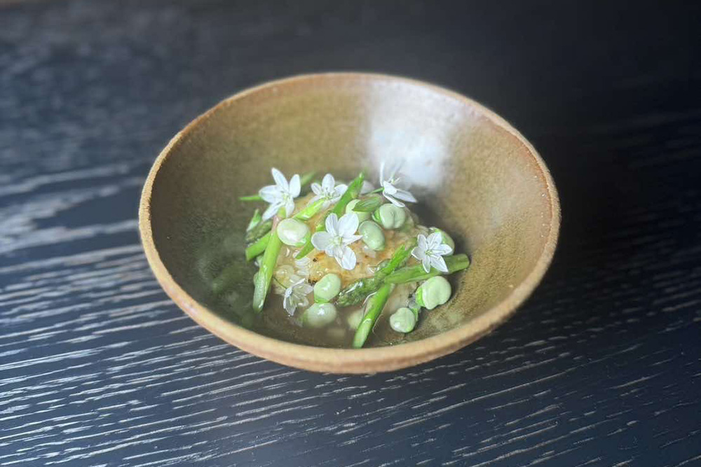 Donabe gohan de primavera