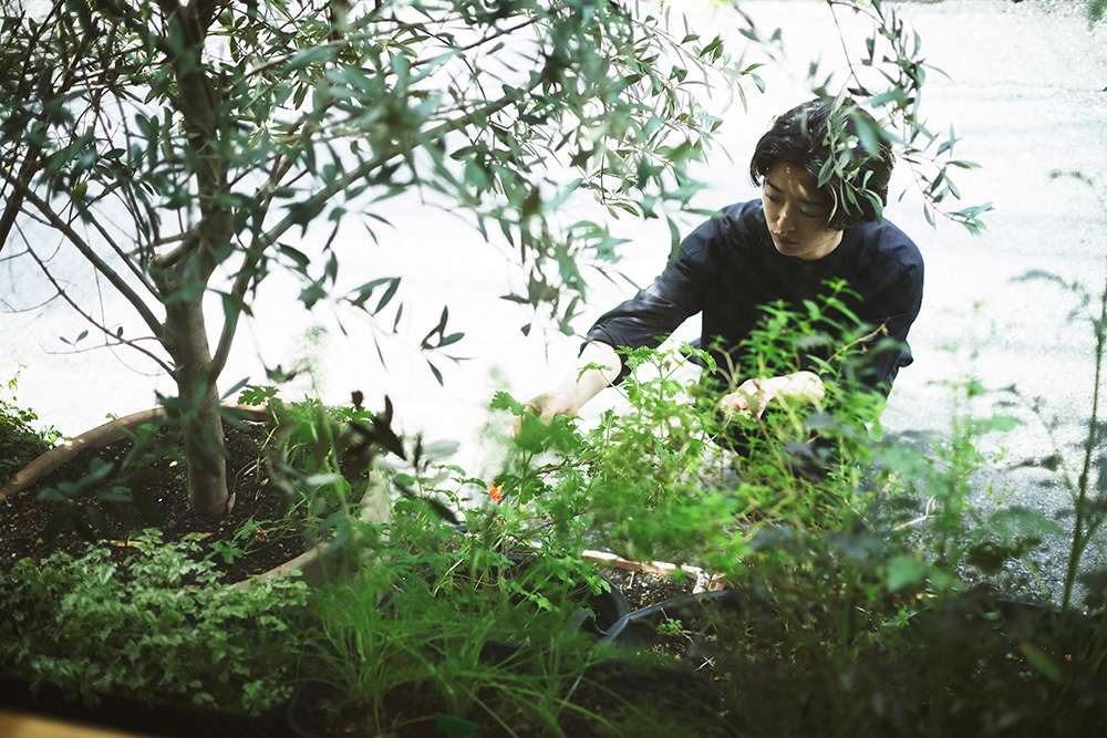 店前の限られたスペースをハーブガーデンとして活用