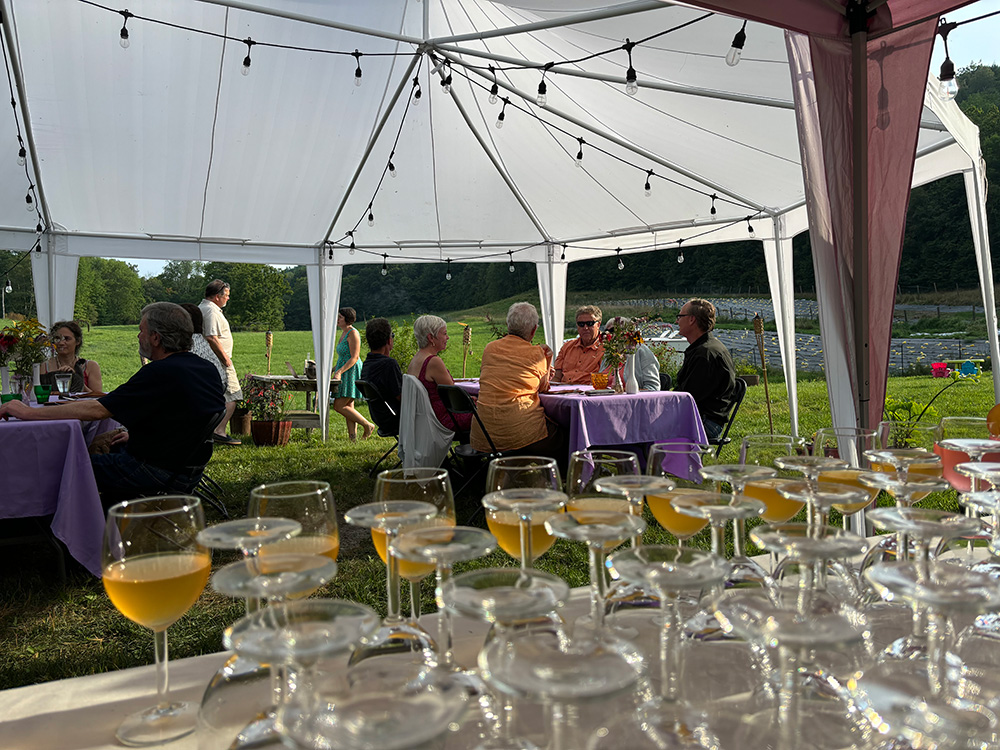 ザ・カラバシュ・エクスペリエンスの様子