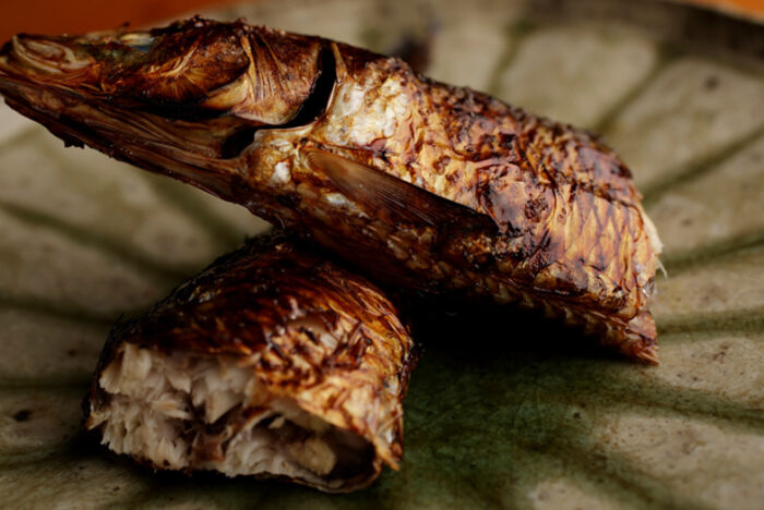 魚焼きグリルで炭火焼きを再現！ 頭から内臓まで旨い「イワシの塩焼き」