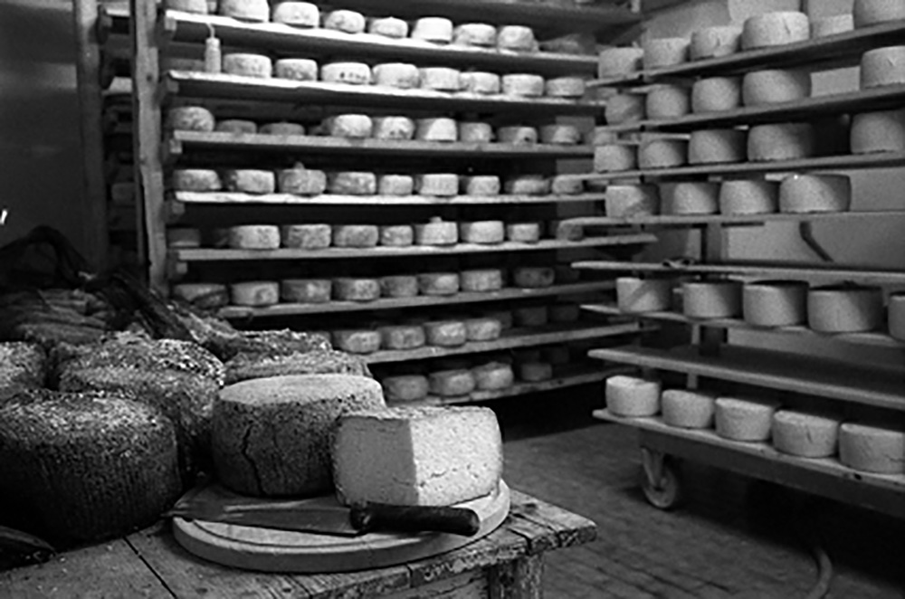 チーズの熟成庫