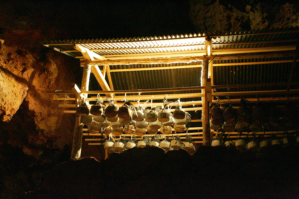 洞窟内でのチーズの熟成