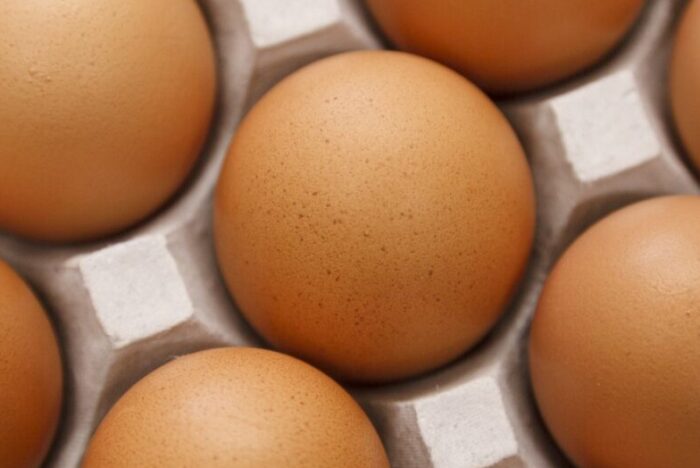 Healthy Birds, Delicious Eggs<br />
ORGANIC EGGS