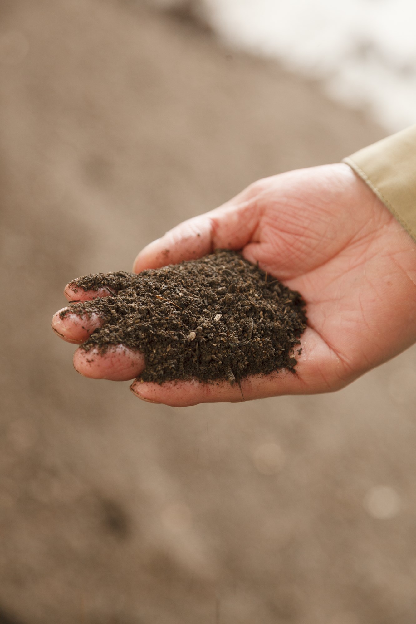 鶏舎内の地面にはサラサラの堆肥が敷かれ鶏たちも快適。