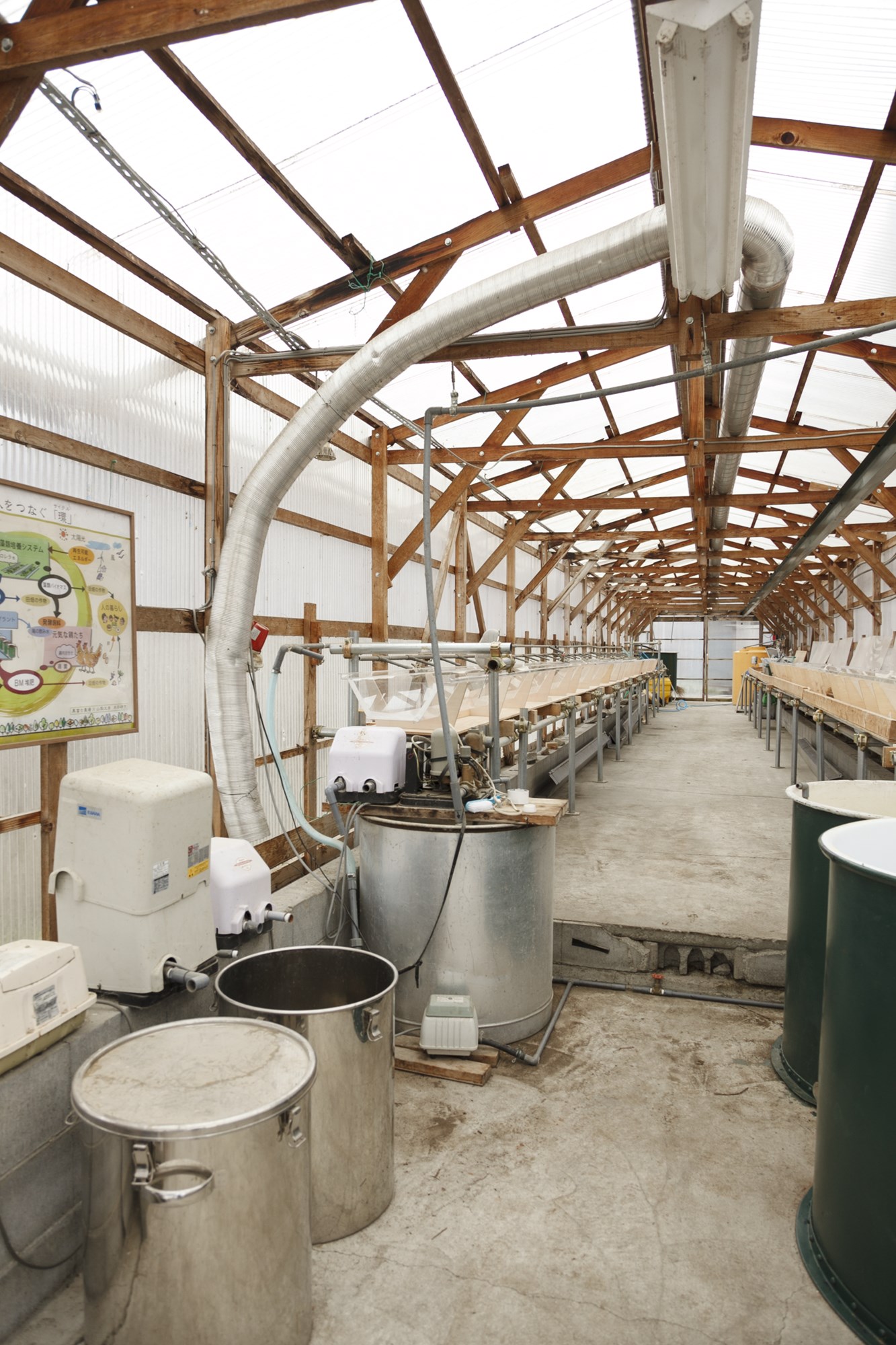 山梨大学と共同でサルモネラ菌の予防になると言われるクロレラの飼料化を研究中。