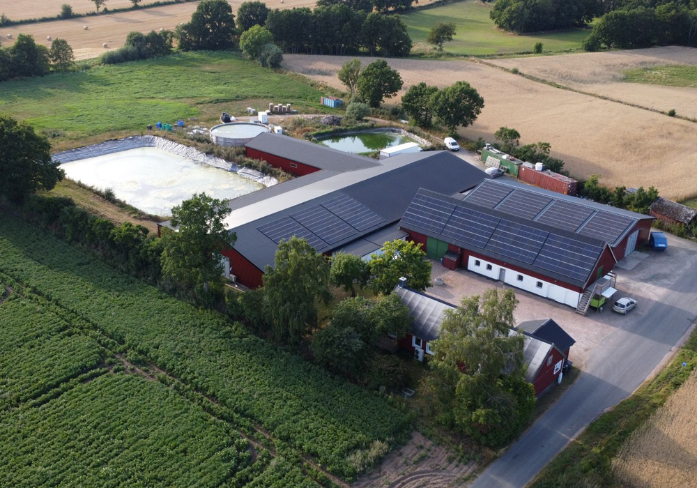 農家が育てた作物を餌に、耕作放棄地で魚を養殖。スウェーデン発完全循環型プロジェクト