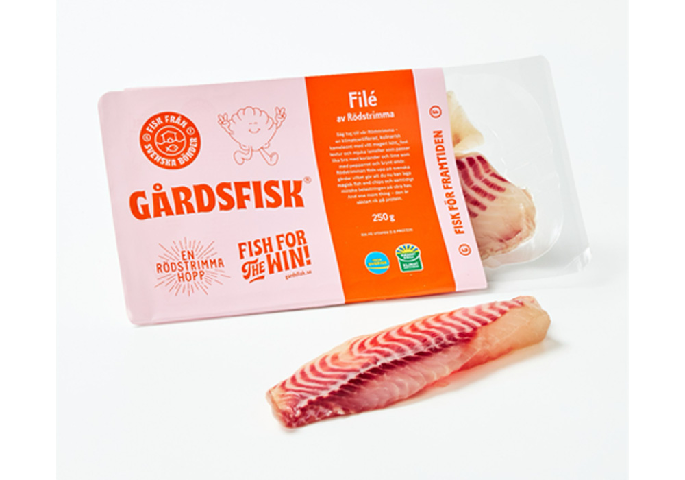 ルードストリンマ（ティラピア）のフィレ