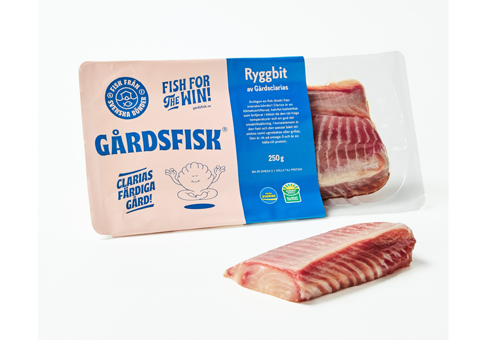 ナマズ系のクラリアス