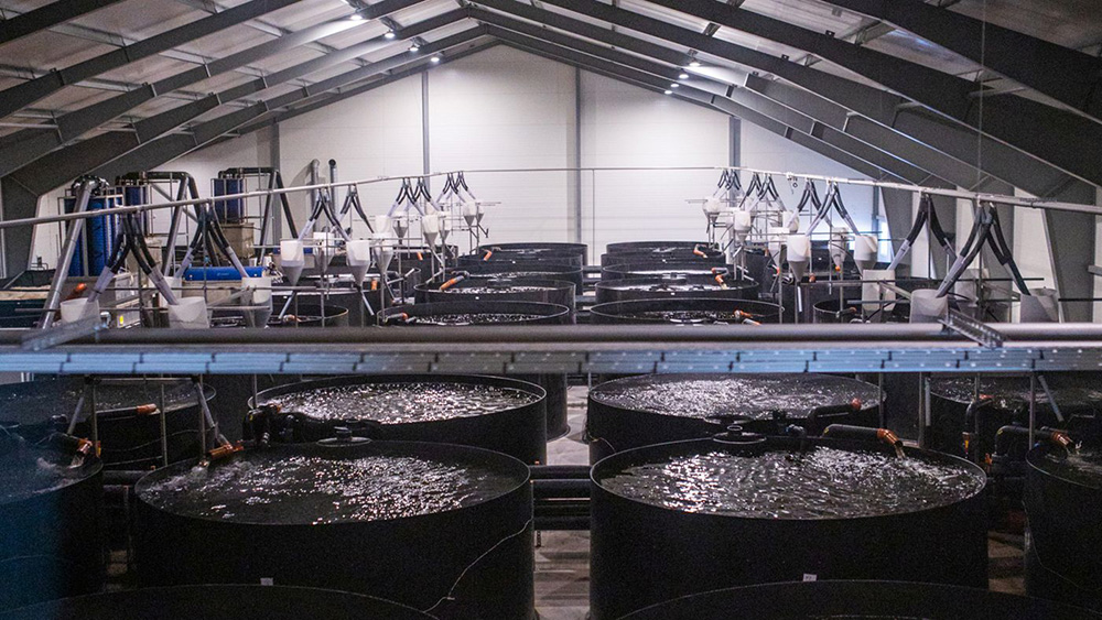 巨大な水槽施設